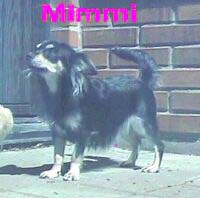 Mimmi vuxen