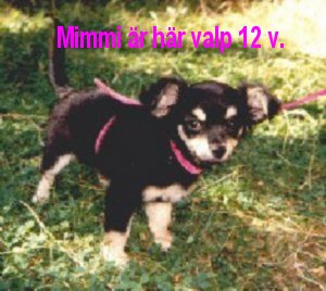 En ung Mimmi